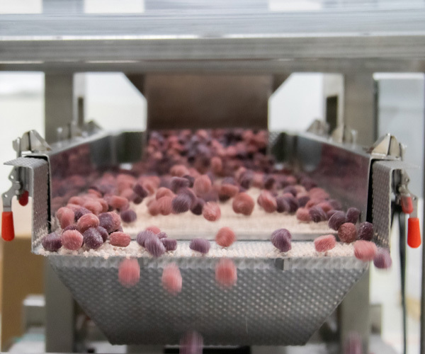 Gummy Vitamin Filling